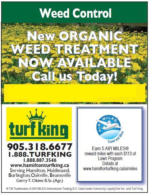 Lawn Care Weed Control by Turf King